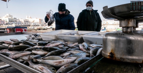 Il mercato ittico di Santo Spirito: l� dove si acquista il pesce direttamente da chi lo cattura